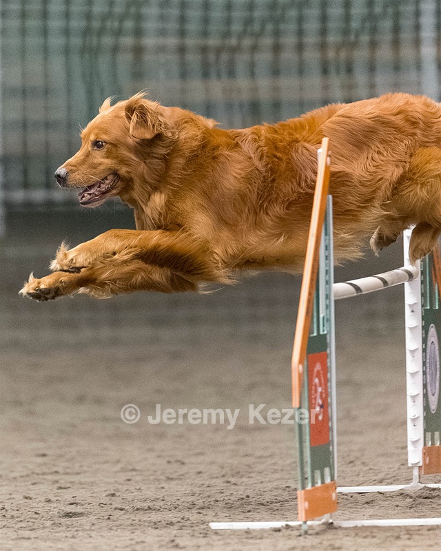 Blaze Beaulieu