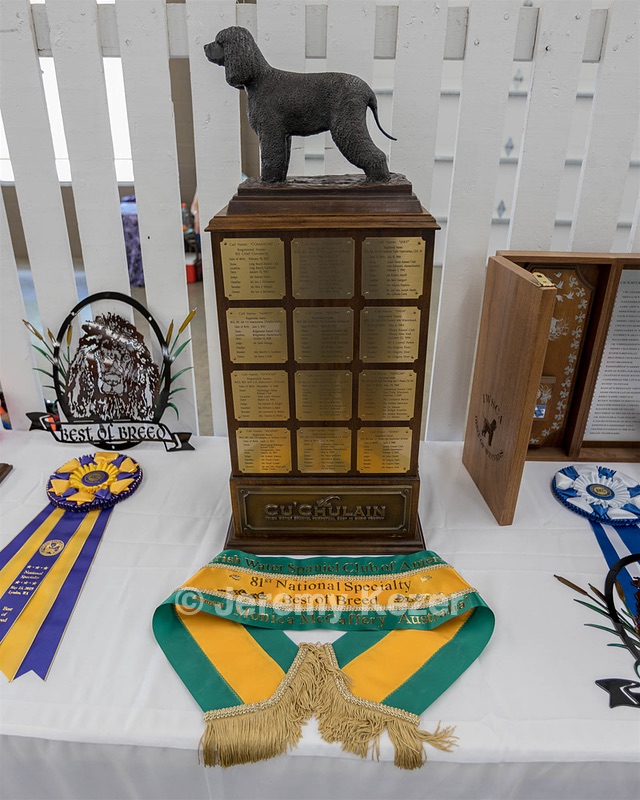 20190515-C-0008.jpg