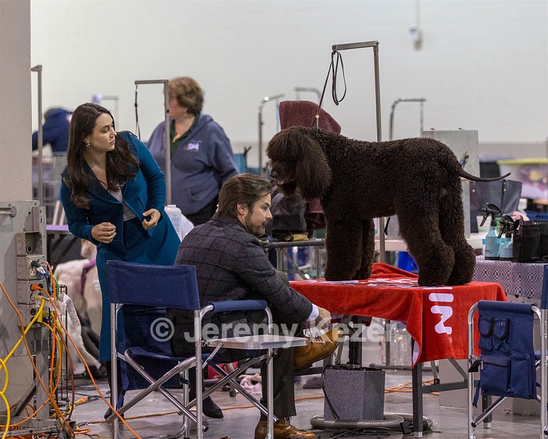 20190111-ASC-0021.jpg