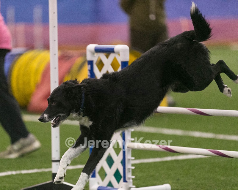 20150321-LEAP-0310.jpg