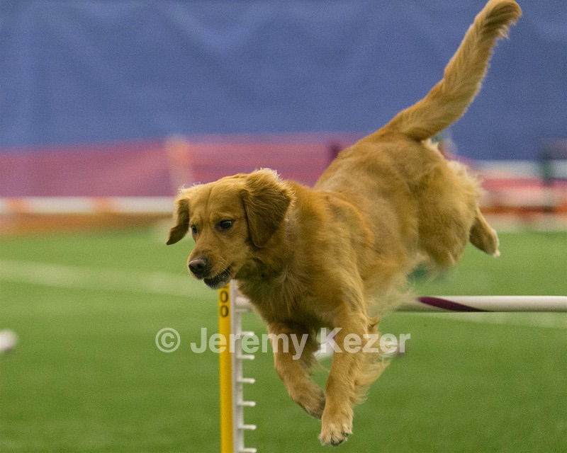 20150321-LEAP-0671.jpg