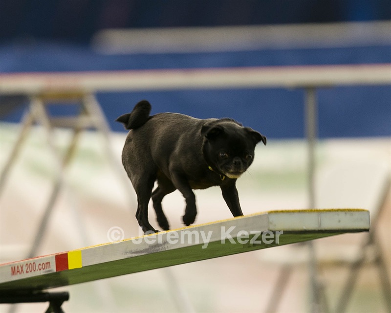 20150321-LEAP-1683.jpg