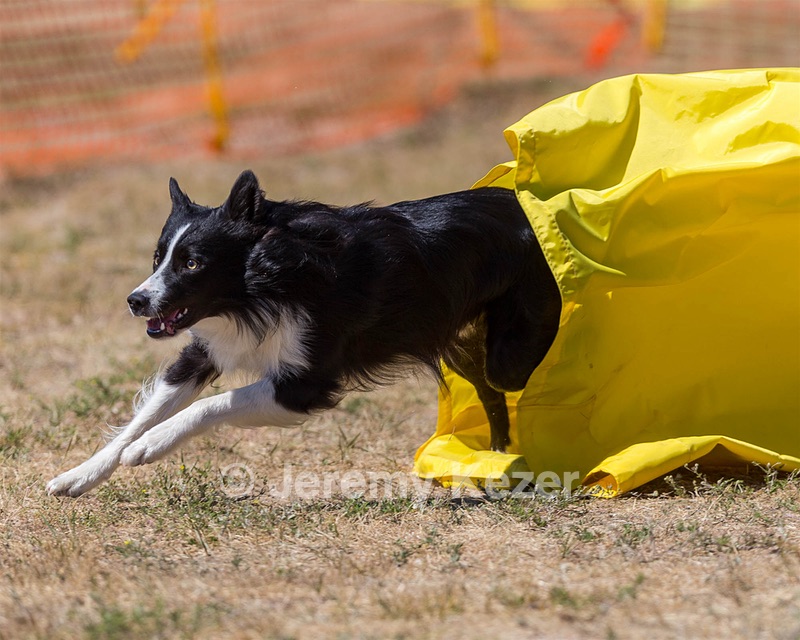 20160619-CCKC-1460.jpg