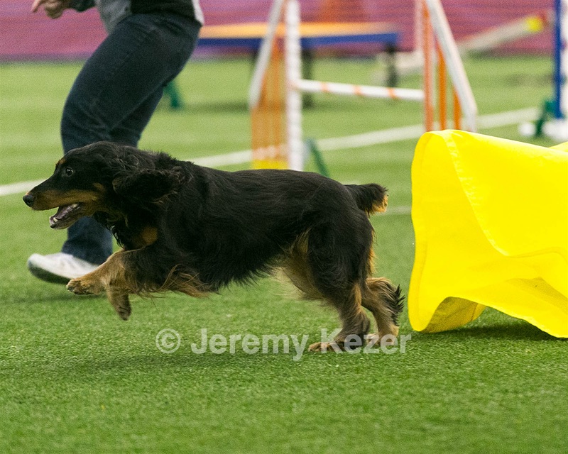 20150322-LEAP-0303.jpg