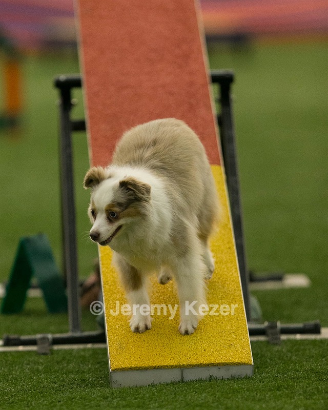 20150321-LEAP-1744.jpg
