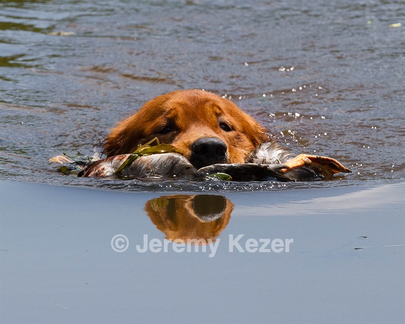 20130714-MHB2-0097.jpg