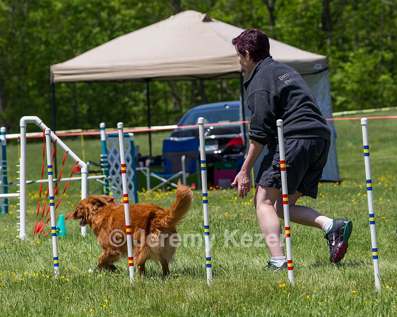 20170520-NEAT-1450.jpg