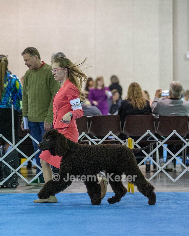 10 - Poole's Ide Touch Of Mink (Darla)