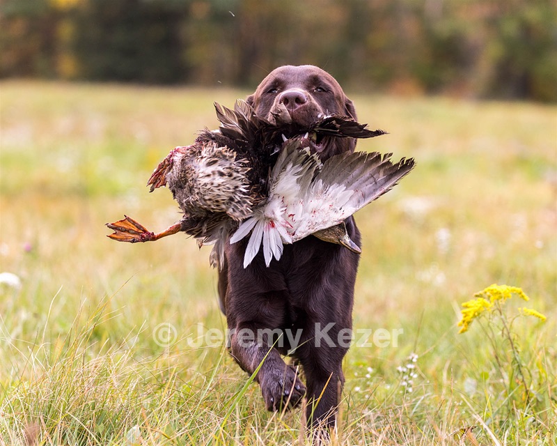 Gunny Fisher
