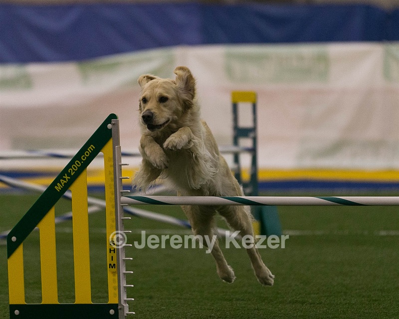 20150321-LEAP-0276.jpg