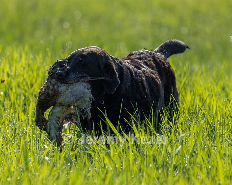 20220723-JHL-0003.jpg