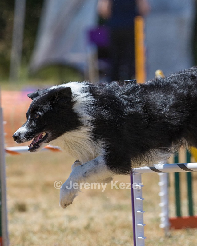 20160618-CCKC-1574.jpg