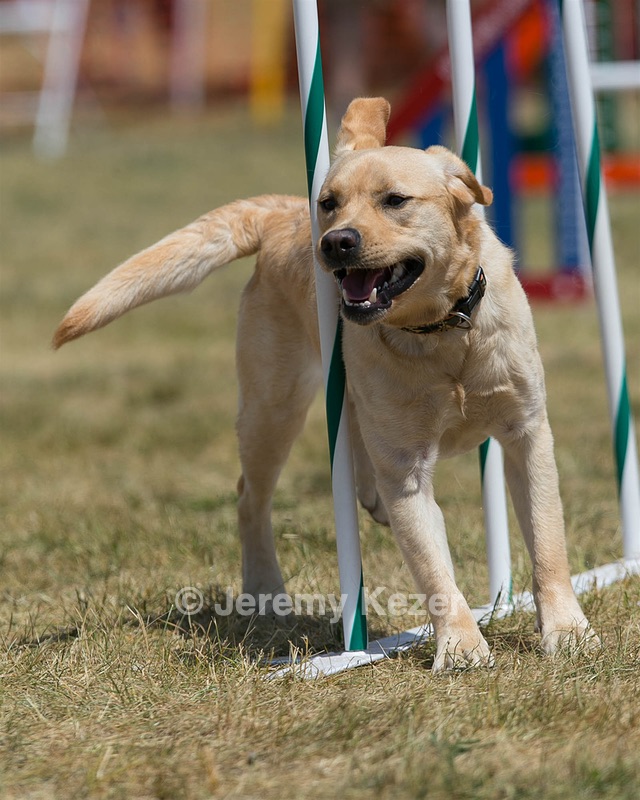 20150614-CCKC-1728.jpg