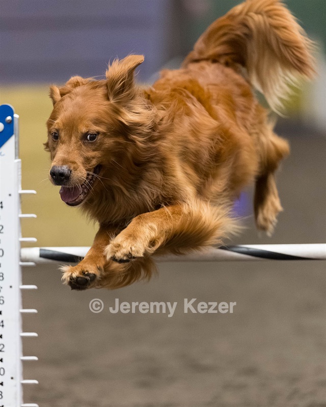 Blaze Beaulieu