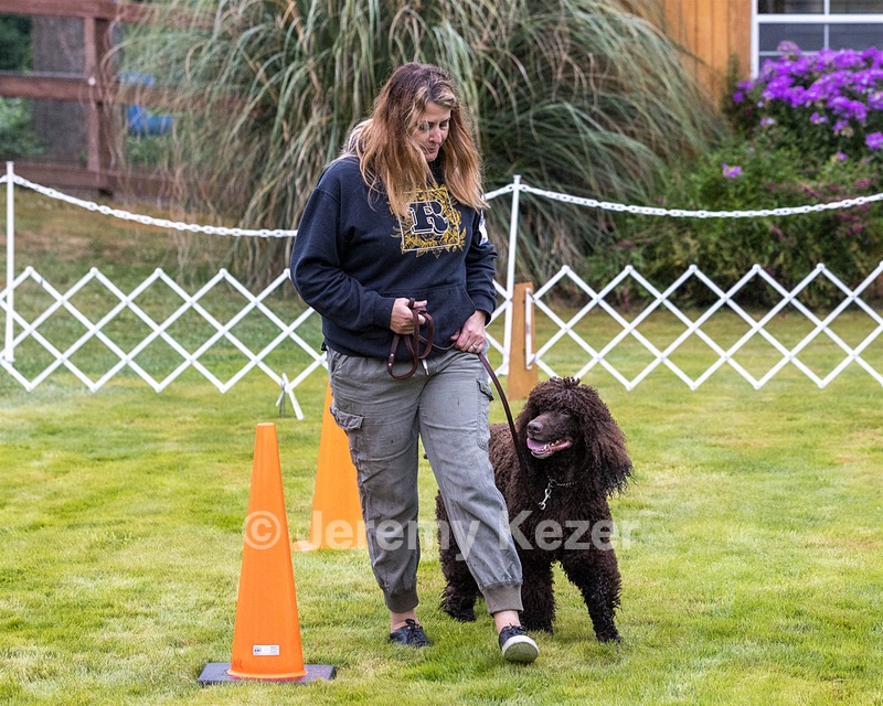 1741 - GCH CH BREKKON'S FIRST MARK CGC