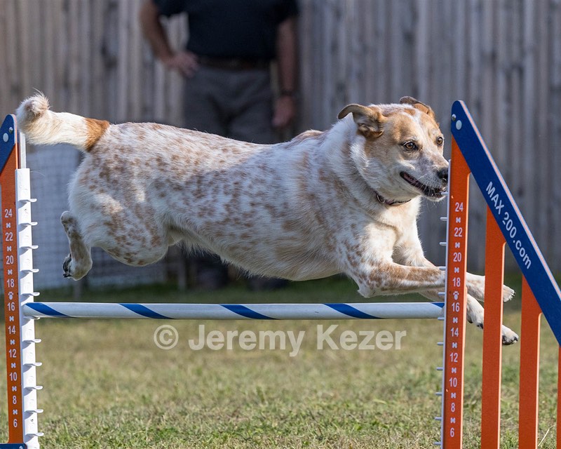 Laney McLaughlin