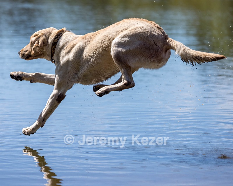 Hailey Botelho