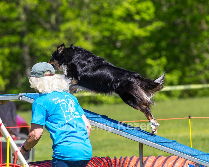 20170520-NEAT-0597.jpg