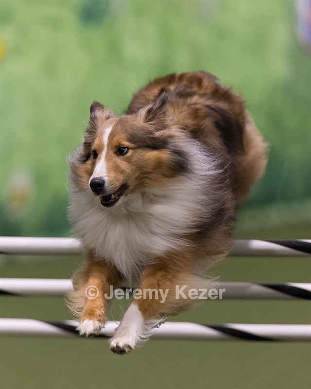 20260222-1195.jpg