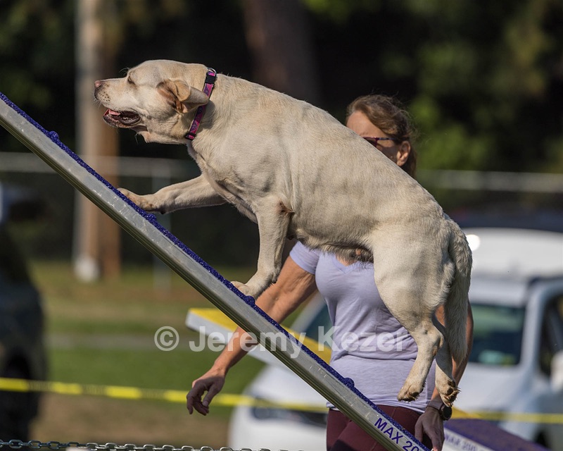 Violet Duke