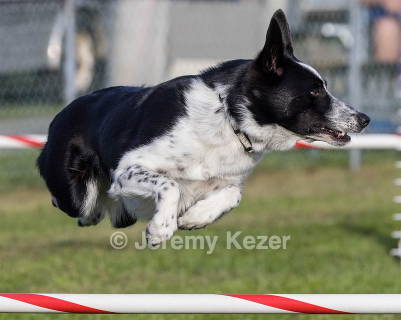 20230916-PVKC-1623.jpg