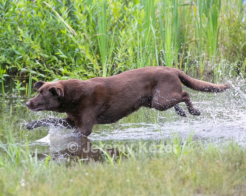 20130713-MHB2-0338.jpg