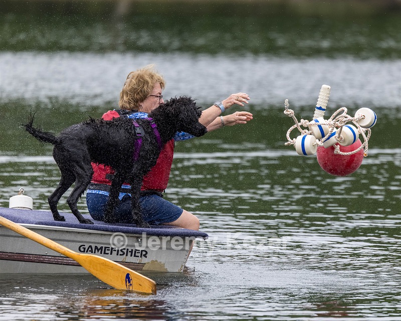 Boaty Bellicose