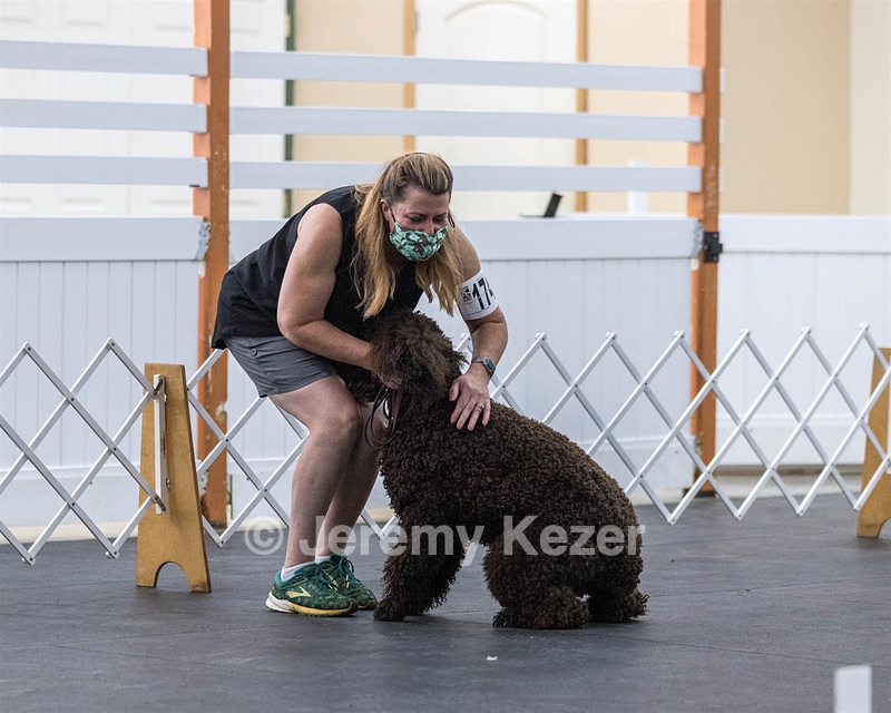 1741 - GCH CH BREKKON'S FIRST MARK CGC