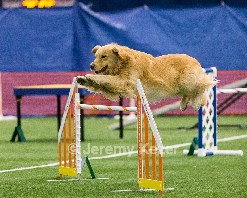 20150322-LEAP-0744.jpg