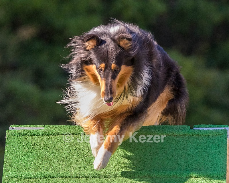 20160618-CCKC-2421.jpg