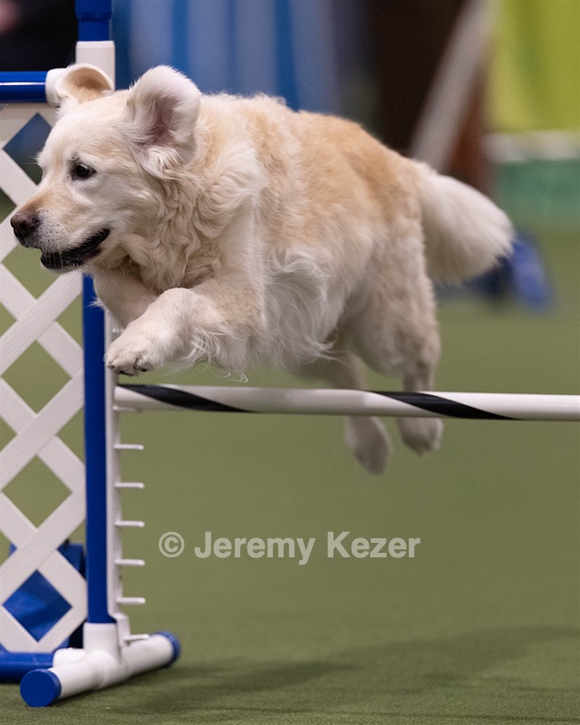 20260221-0074.jpg