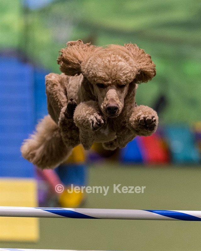 Winston Kelly
