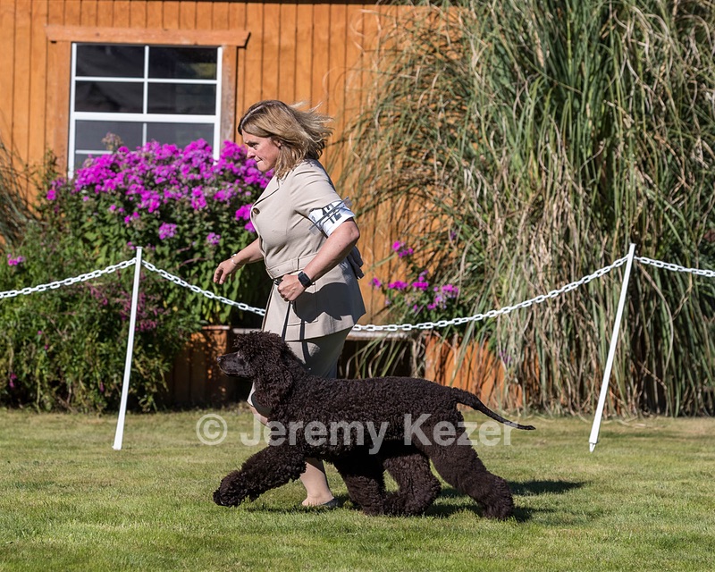 12 - FLINTCREST FLYING TRAPEZE (Kelly)