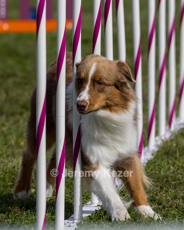 20230916-PVKC-1277.jpg