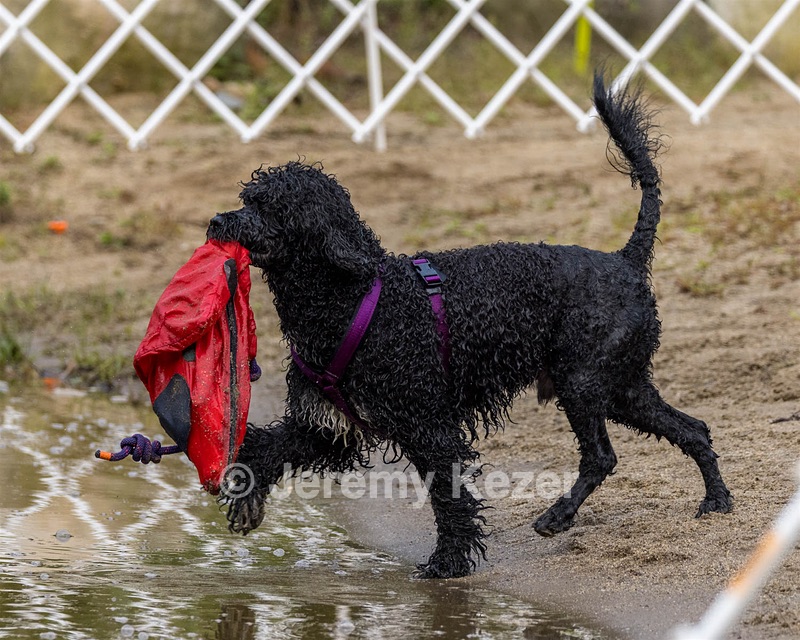 20210912-MWD-0137.jpg