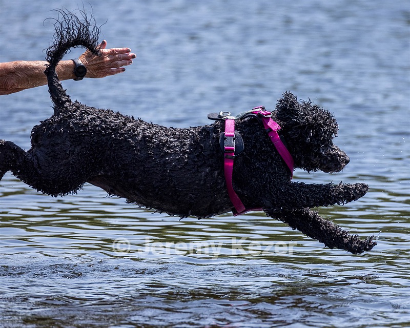 Tango Abbruzzese