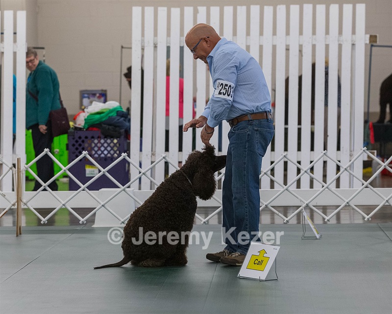2503 - GCH CH BLACKTHORN'S KEEVA CROMPTON AX AXJ XF RN CGC (Keeva)