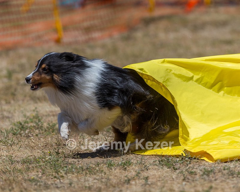 20160619-CCKC-1277.jpg