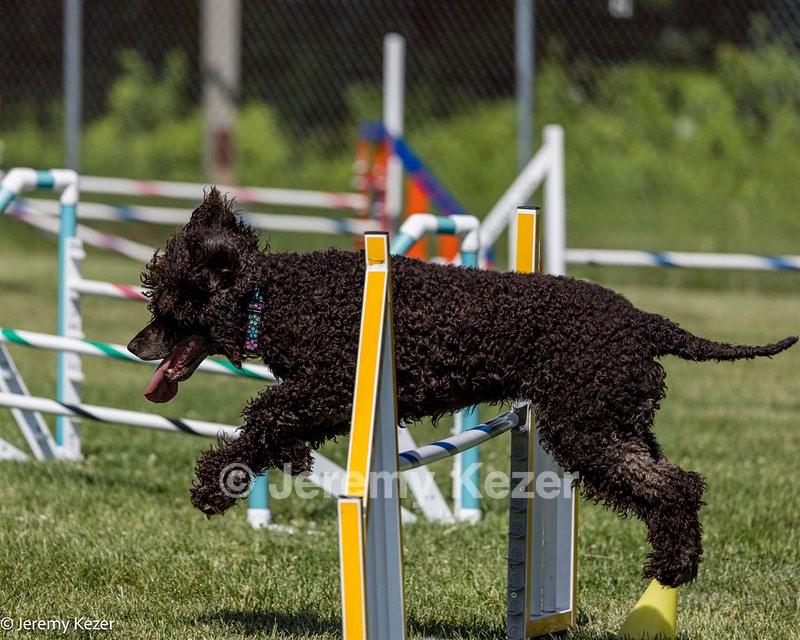 Sybil