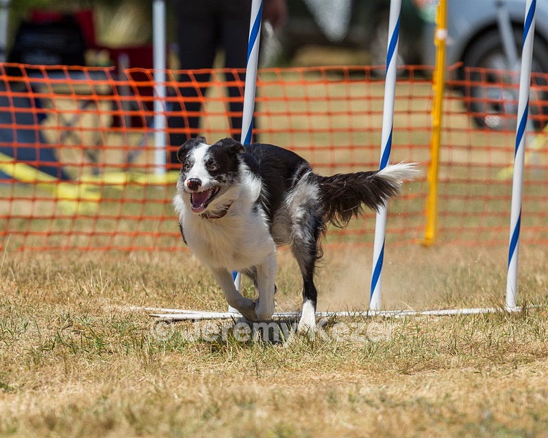 20160619-CCKC-1068.jpg