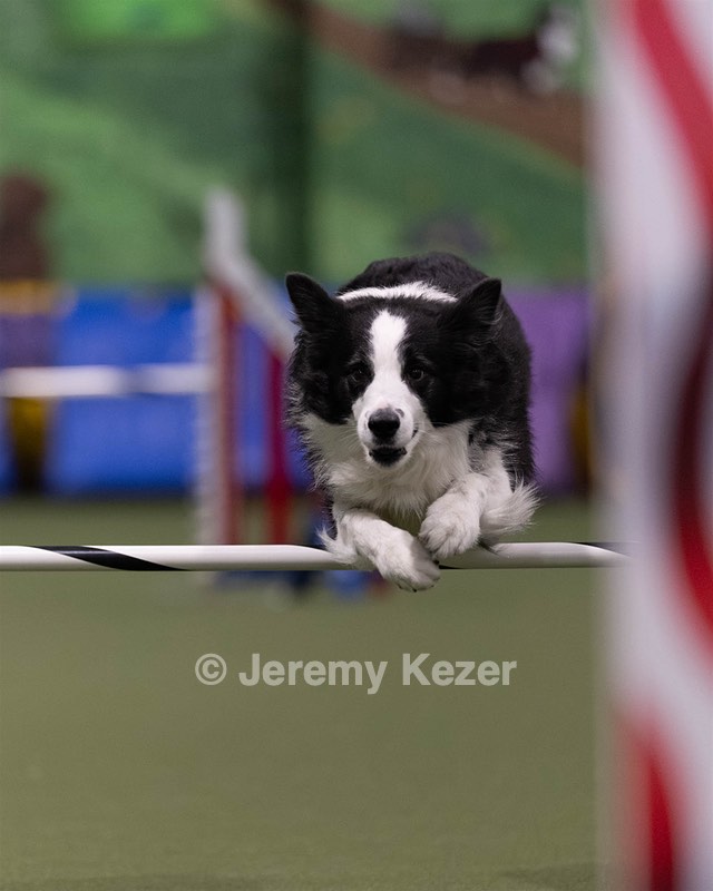 20260221-0141.jpg