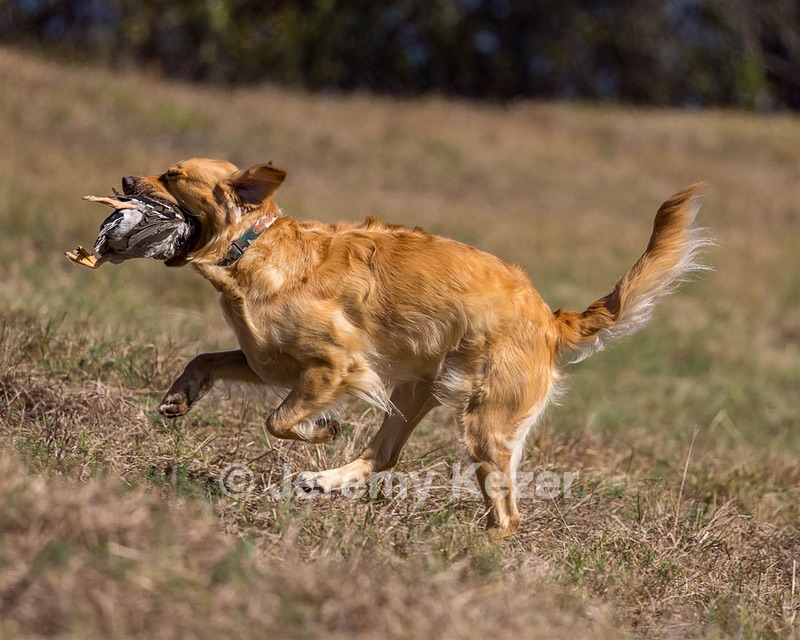 20221008-WCL-0117-Edit.jpg