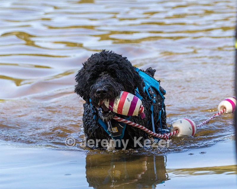 Fenwick Janet