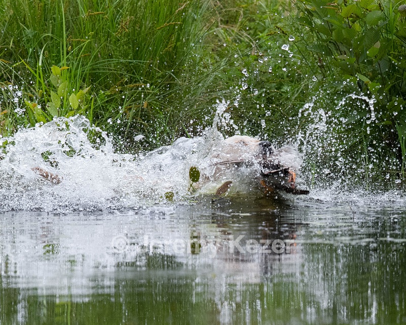 20130713-MHB2-0251.jpg