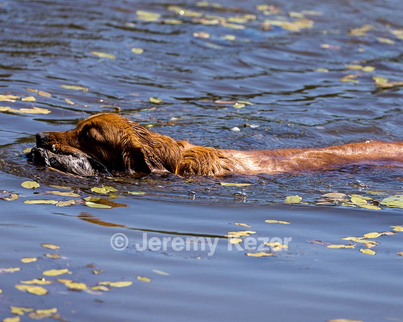 Ida McAndrew