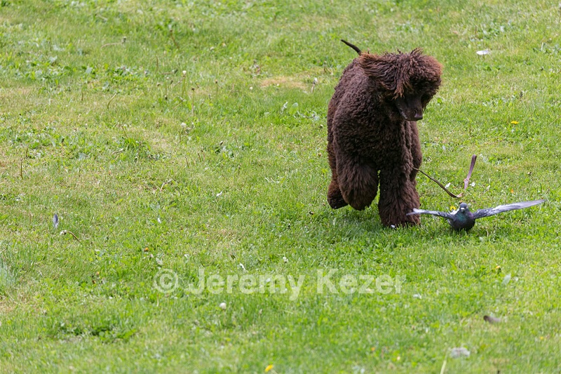 20190512-BD-0021.jpg
