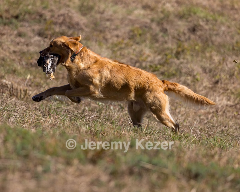 20221008-WCL-0116-Edit.jpg