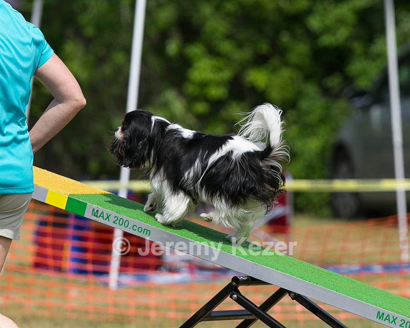 20150612-CCKC-0183.jpg