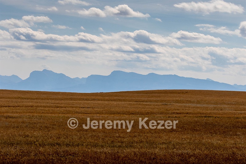 Montana Plains