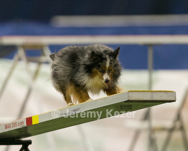 20150321-LEAP-1594.jpg
